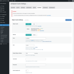 Page screenshot: LiteSpeed Cache → Cache → Object