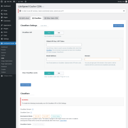 Page screenshot: LiteSpeed Cache → CDN → Cloudflare