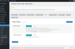 Page screenshot: LiteSpeed Cache → Page Optimization → VPI