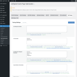 Page screenshot: LiteSpeed Cache → Page Optimization → Tuning