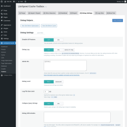 Page screenshot: LiteSpeed Cache → Toolbox → Debug Settings