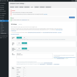 Page screenshot: Settings → LiteSpeed Cache → ESI