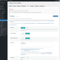 Page screenshot: LiteSpeed Cache → Cache → ESI