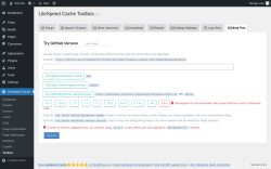 Page screenshot: LiteSpeed Cache → Toolbox → Beta Test