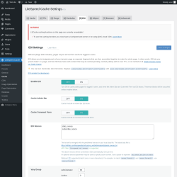 Page screenshot: LiteSpeed Cache → Cache → ESI