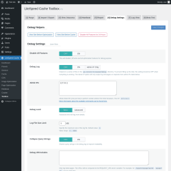 Page screenshot: LiteSpeed Cache → Toolbox → Debug Settings