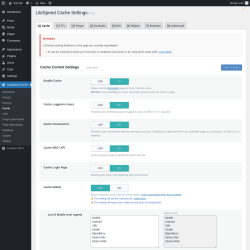 Page screenshot: LiteSpeed Cache → Cache