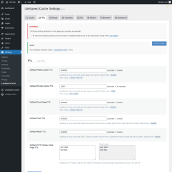 Page screenshot: Settings → LiteSpeed Cache → TTL