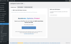 Page screenshot: LiteSpeed Cache → CDN