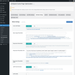 Page screenshot: LiteSpeed Cache → Page Optimization → Media Settings