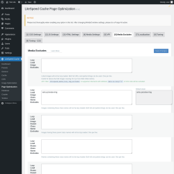 Page screenshot: LiteSpeed Cache → Page Optimization → Media Excludes