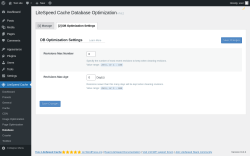 Page screenshot: LiteSpeed Cache → Database → DB Optimization Settings