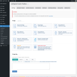 Page screenshot: LiteSpeed Cache → Toolbox