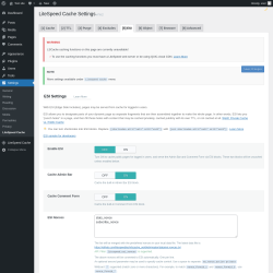 Page screenshot: Settings → LiteSpeed Cache → ESI