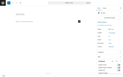 Page screenshot: Add Post ‹ Test site — WordPress