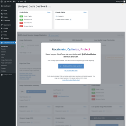 Page screenshot: LiteSpeed Cache