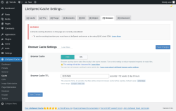 Page screenshot: LiteSpeed Cache &rarr; Cache &rarr; Browser