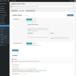Page screenshot: LiteSpeed Cache &rarr; CDN &rarr; Cloudflare