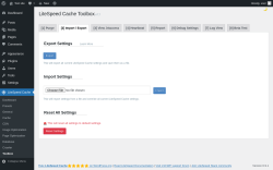 Page screenshot: LiteSpeed Cache &rarr; Toolbox &rarr; Import / Export