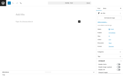 Page screenshot: Add Post &lsaquo; Test site &mdash; WordPress