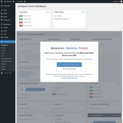 Page screenshot: LiteSpeed Cache