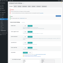 Page screenshot: Settings &rarr; LiteSpeed Cache