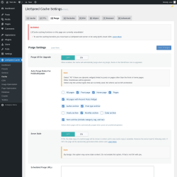 Page screenshot: LiteSpeed Cache &rarr; Cache &rarr; Purge
