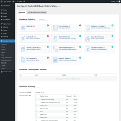Page screenshot: LiteSpeed Cache &rarr; Database