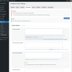 Page screenshot: Settings &rarr; LiteSpeed Cache &rarr; Excludes