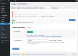 Page screenshot: Settings &rarr; LiteSpeed Cache &rarr; Browser