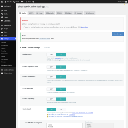 Page screenshot: Settings &rarr; LiteSpeed Cache