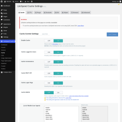 Page screenshot: LiteSpeed Cache &rarr; Cache