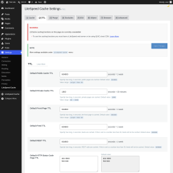 Page screenshot: Settings &rarr; LiteSpeed Cache &rarr; TTL