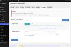 Page screenshot: LiteSpeed Cache &rarr; Cache &rarr; Browser