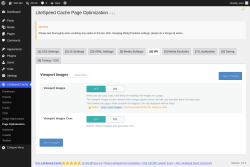 Page screenshot: LiteSpeed Cache &rarr; Page Optimization &rarr; VPI