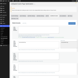 Page screenshot: LiteSpeed Cache &rarr; Page Optimization &rarr; Media Excludes