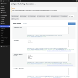 Page screenshot: LiteSpeed Cache &rarr; Page Optimization &rarr; Tuning