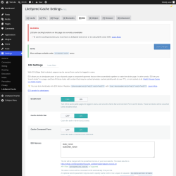 Page screenshot: Settings &rarr; LiteSpeed Cache &rarr; ESI