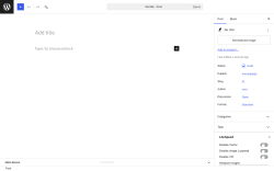 Page screenshot: Add Post &lsaquo; Test site &mdash; WordPress