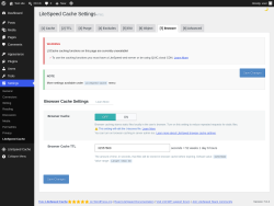 Page screenshot: Settings &rarr; LiteSpeed Cache &rarr; Browser