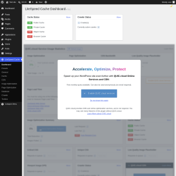 Page screenshot: LiteSpeed Cache
