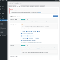 Page screenshot: LiteSpeed Cache &rarr; Cache &rarr; Purge