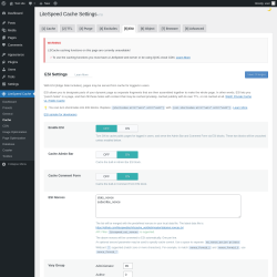 Page screenshot: LiteSpeed Cache &rarr; Cache &rarr; ESI