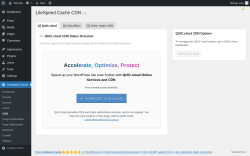 Page screenshot: LiteSpeed Cache &rarr; CDN