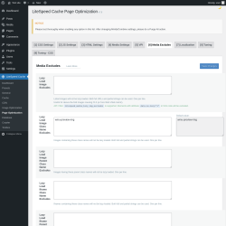 Page screenshot: LiteSpeed Cache &rarr; Page Optimization &rarr; Media Excludes