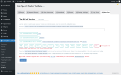 Page screenshot: LiteSpeed Cache &rarr; Toolbox &rarr; Beta Test
