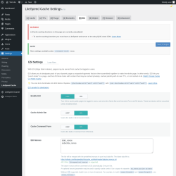 Page screenshot: Settings &rarr; LiteSpeed Cache &rarr; ESI