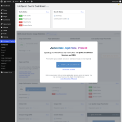 Page screenshot: LiteSpeed Cache