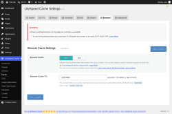 Page screenshot: LiteSpeed Cache &rarr; Cache &rarr; Browser