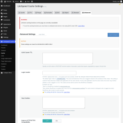 Page screenshot: LiteSpeed Cache &rarr; Cache &rarr; Advanced